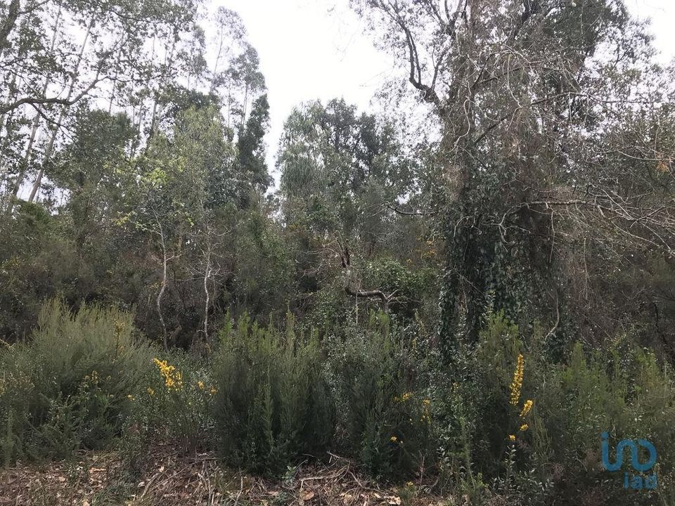 Terreno en Pombal, Leiria - foto 5