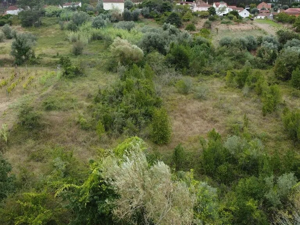 Terreno en Pombal, Leiria - foto 1