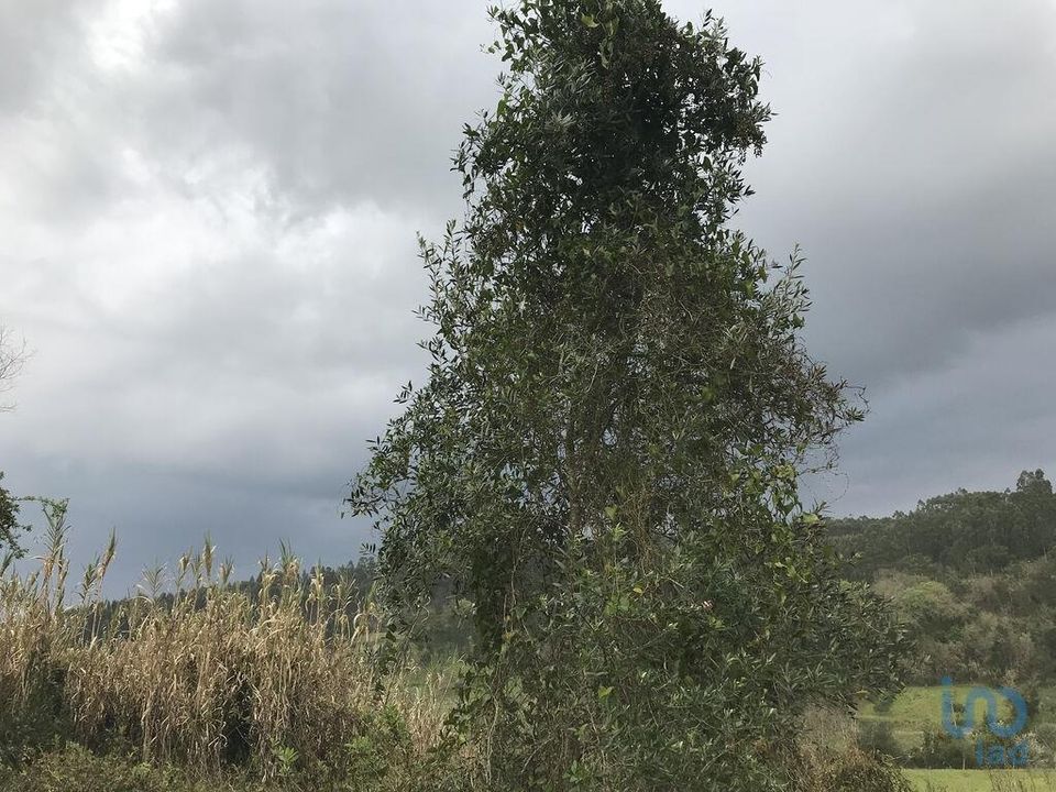 Terreno en Pombal, Leiria - foto 2