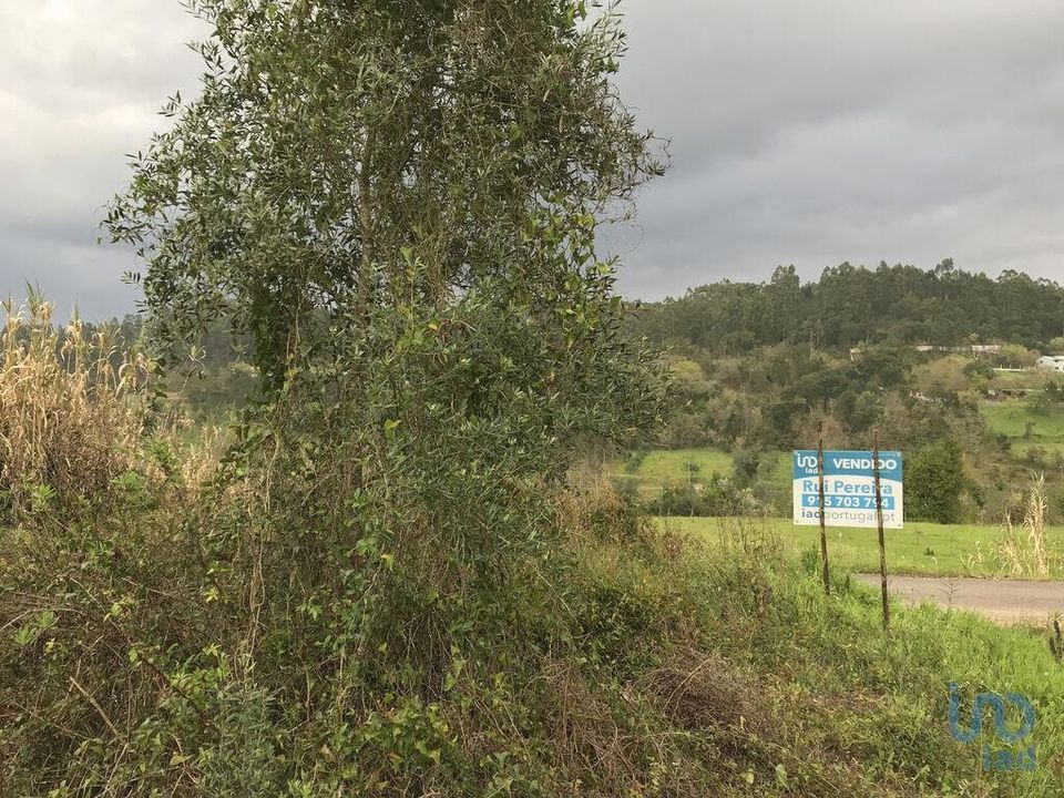Terreno en Pombal, Leiria - foto 4