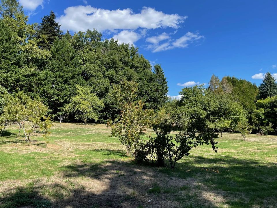 Villa i Lanouaille, Dordogne - foto 2