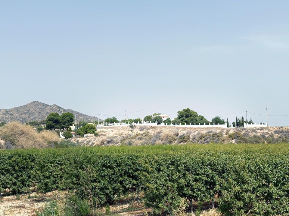 Villa i Novelda, Alicante - foto 3