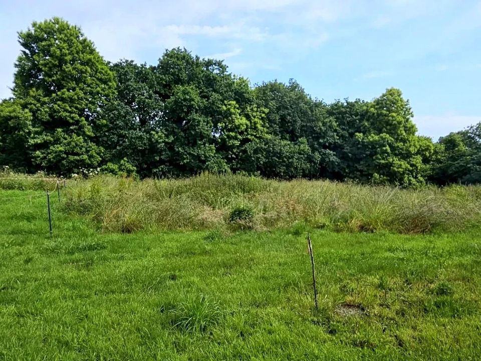 Villa i Bégard, Cotes-d'Armor - foto 4