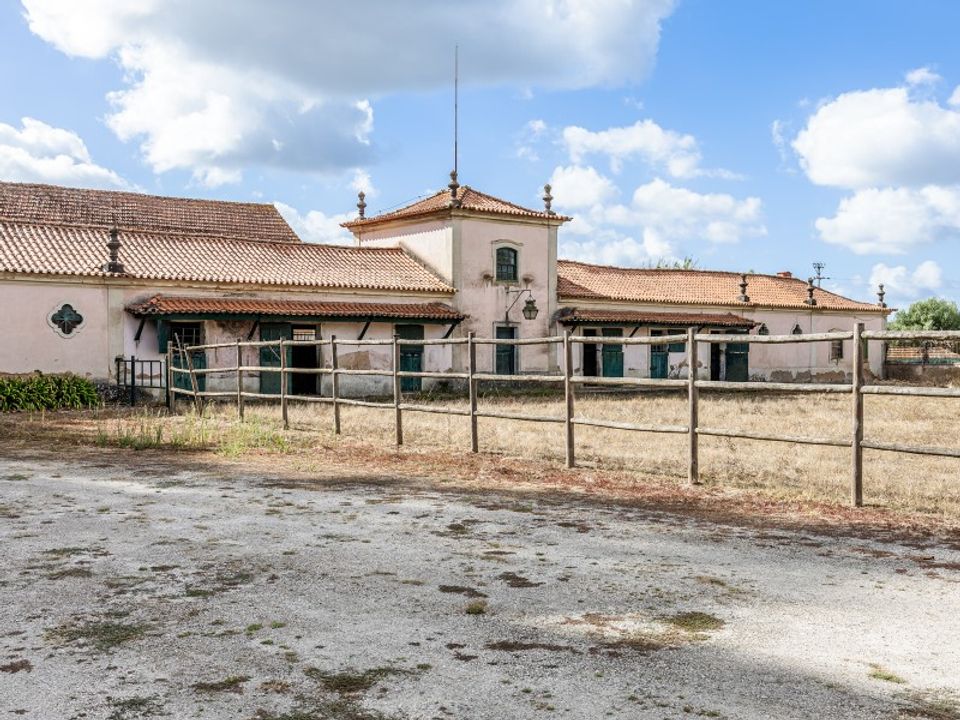 Cortijo i Anadia, Aveiro - foto 3