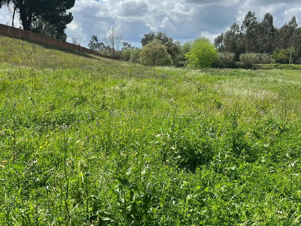 Helårsgrund i Vendas Novas, Evora - foto 1