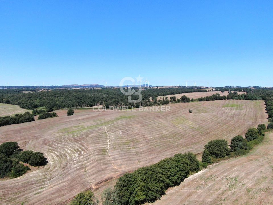 Tomt i Tuscania, Viterbo - bilde 4