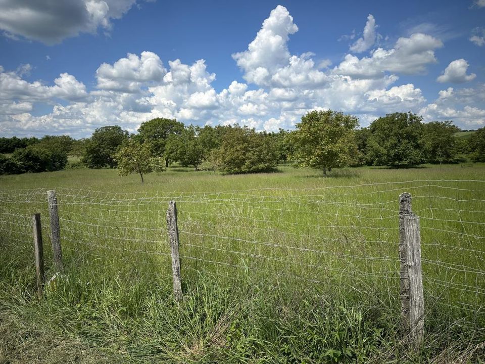 Helårsgrund i Montoire-sur-le-Loir, Loir-et-Cher - foto 1