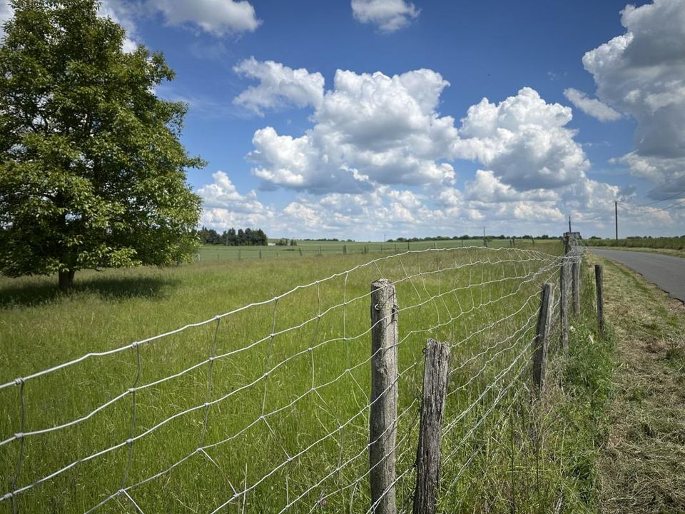 Helårsgrund i Montoire-sur-le-Loir, Loir-et-Cher - foto 2