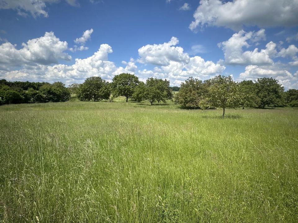 Helårsgrund i Montoire-sur-le-Loir, Loir-et-Cher - foto 3