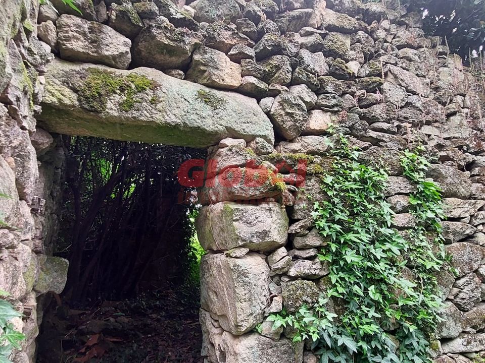 Villa i Viseu, Viseu - foto 3