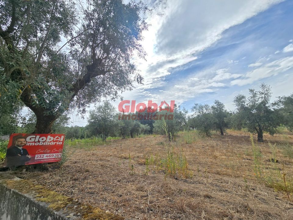 Helårsgrund i Viseu, Viseu - foto 2