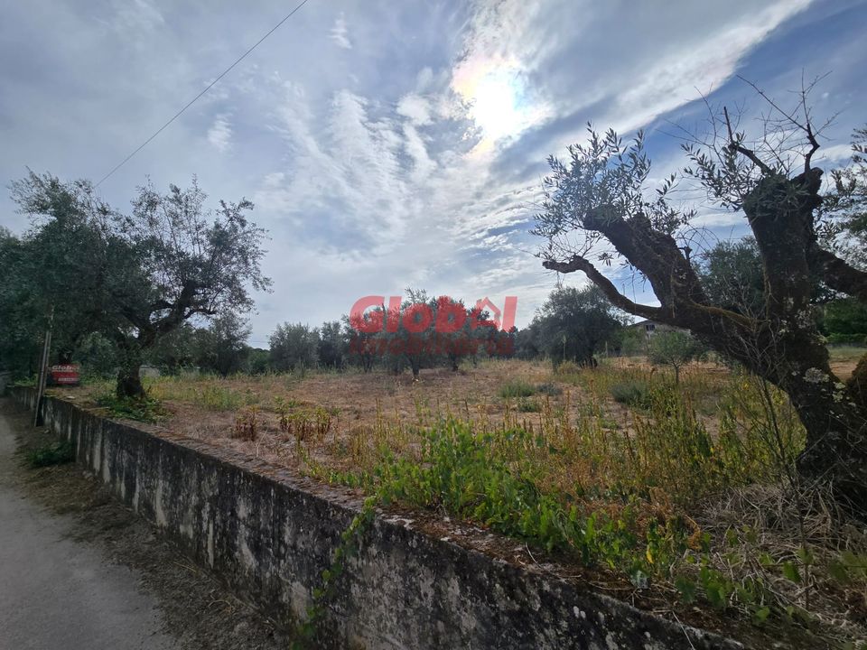 Helårsgrund i Viseu, Viseu - foto 4