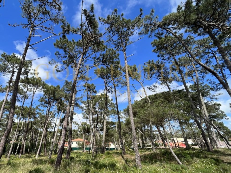 Helårsgrund i Almocageme, Lisbon - foto 1