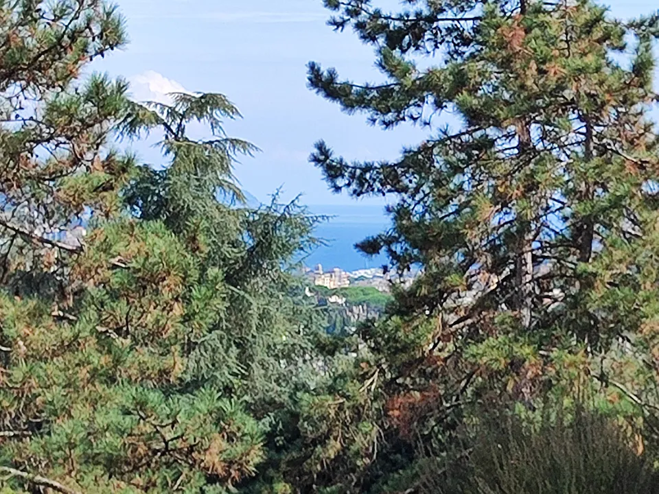 Apartamento em Rapallo, Genoa - foto 2