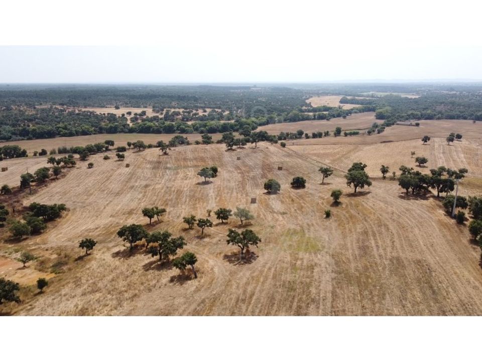 Landejendom i Sao Domingos e Vale de Agua, Setubal - foto 1
