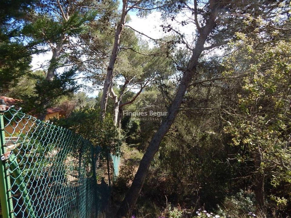 Helårsgrund i Palafrugell, Gerona - foto 3