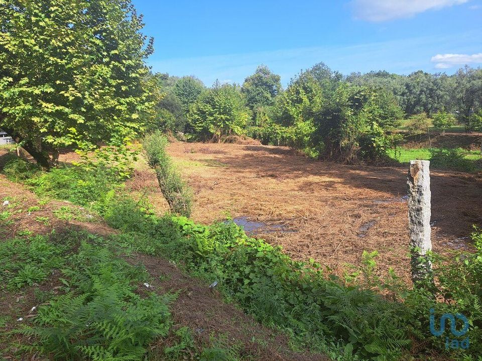 Helårsgrund i Vila Verde, Braga - foto 3