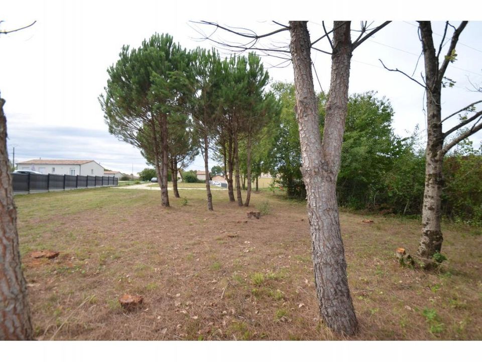 Tomt i Le Fieu, Gironde - bilde 5