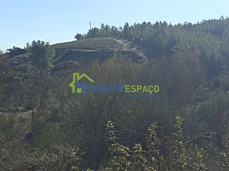Helårsgrund i Castelo Branco, Castelo Branco - foto 1