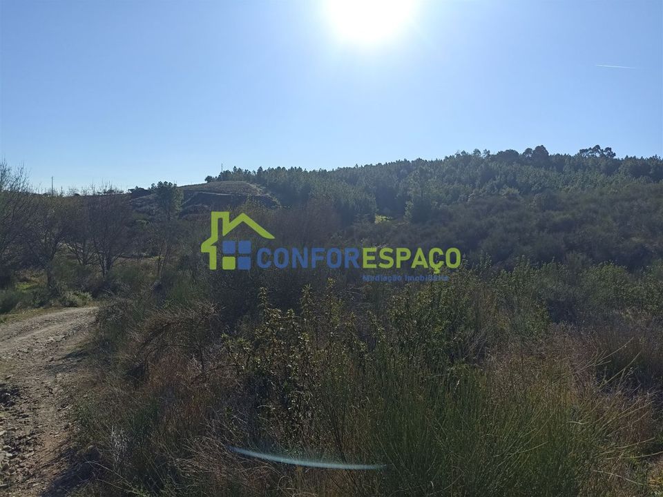 Helårsgrund i Castelo Branco, Castelo Branco - foto 4