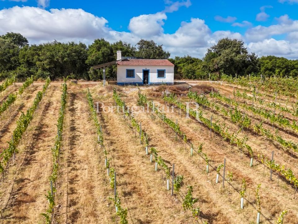 Farm i Vila Vicosa, Evora - foto 3