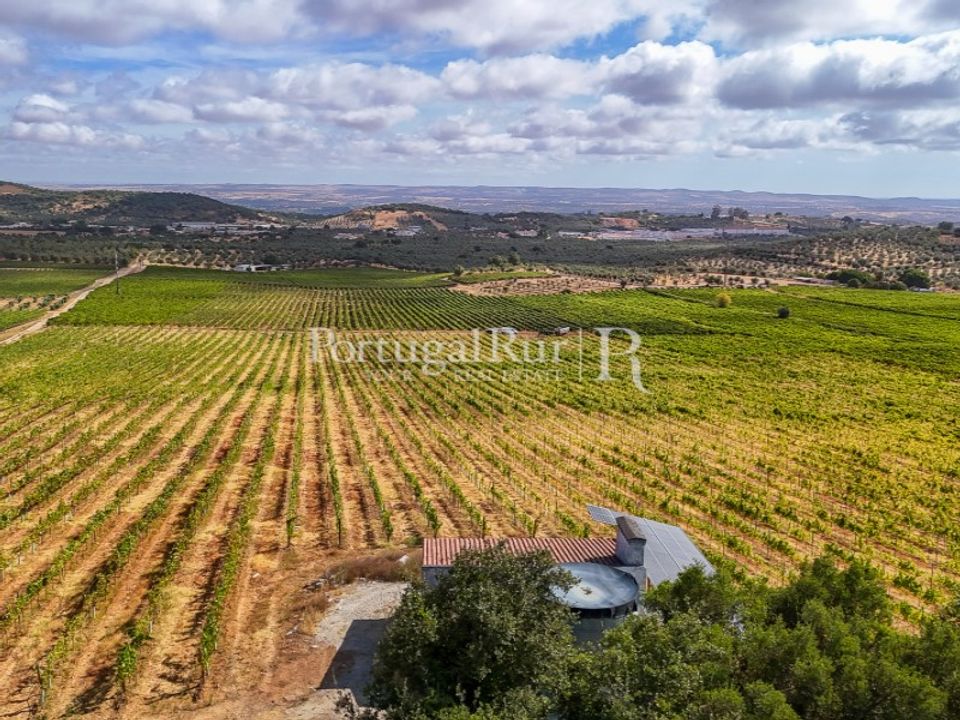 Farm i Vila Vicosa, Evora - foto 2
