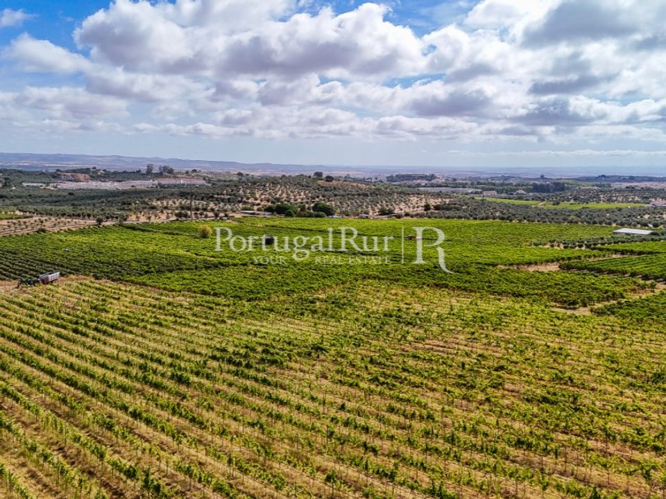 Farm i Vila Vicosa, Evora - foto 1