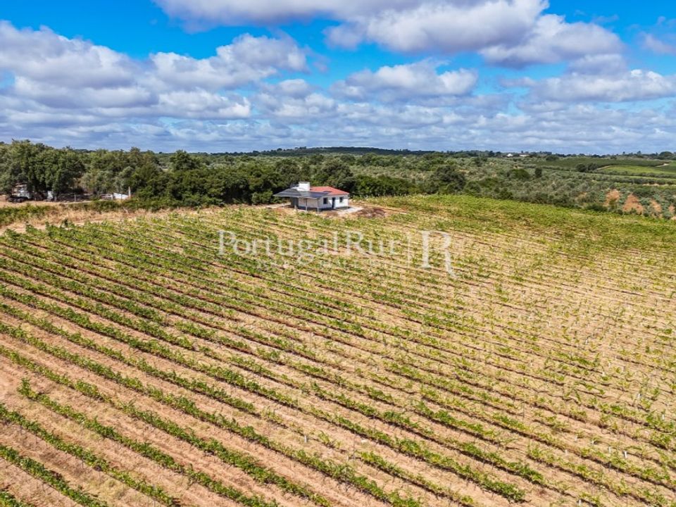Farm i Vila Vicosa, Evora - foto 4