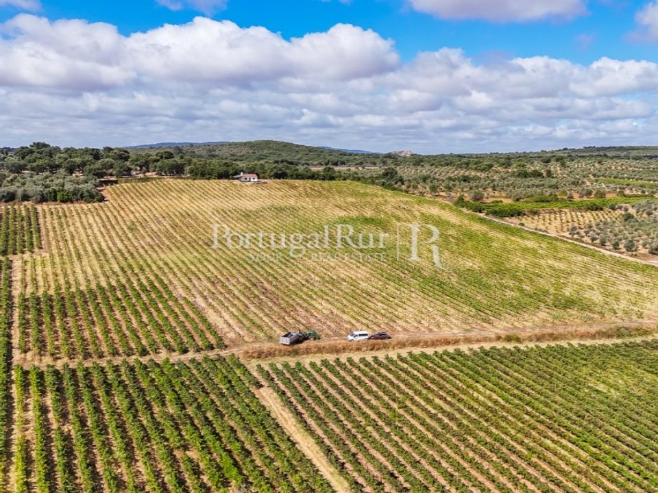 Farm i Vila Vicosa, Evora - foto 5