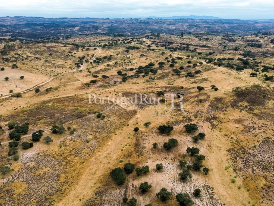 Tomt i Rosmaninhal, Castelo Branco - bilde 2