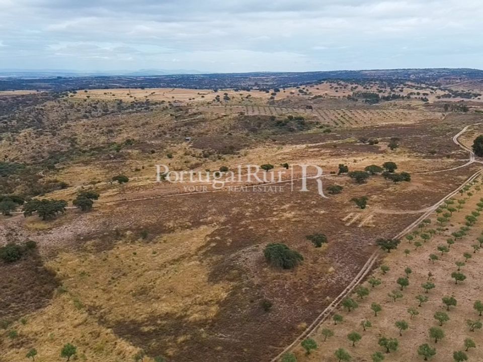Helårsgrund i Rosmaninhal, Castelo Branco - foto 3
