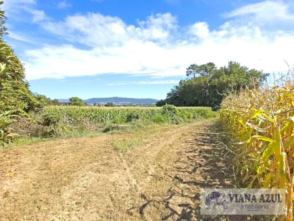 Helårsgrund i Viana do Castelo, Viana do Castelo - foto 4
