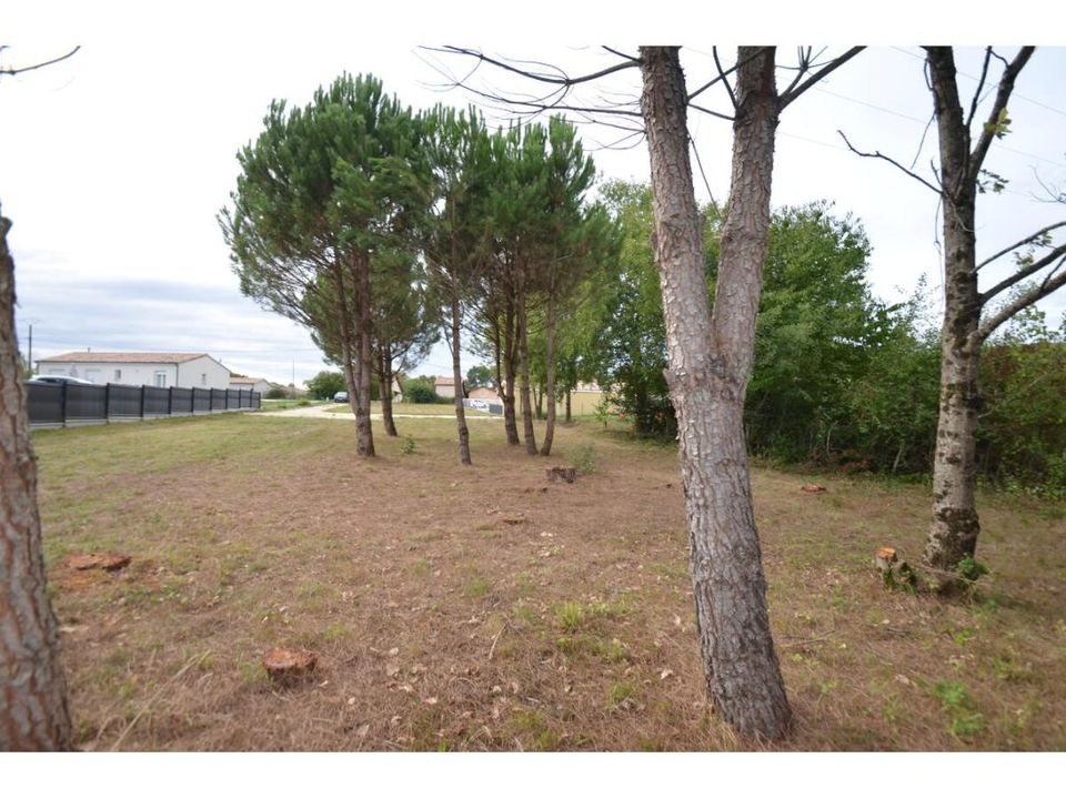 Tomt i Le Fieu, Gironde - foto 5