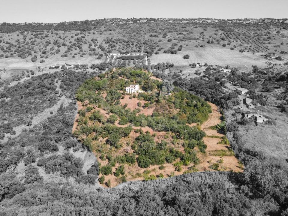 Farm i Palmela, Setubal - foto 2