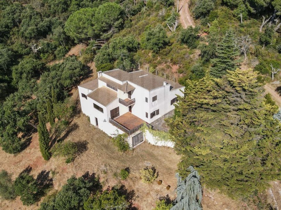 Farm i Palmela, Setubal - foto 4