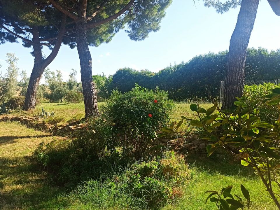 Farm hus i Montecosaro, Macerata - foto 5