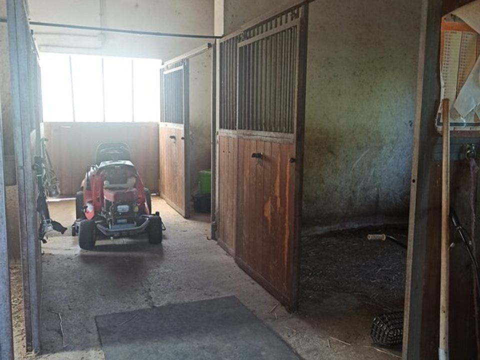 Siedlisko: Montecosaro, Macerata – zdjęcie 2