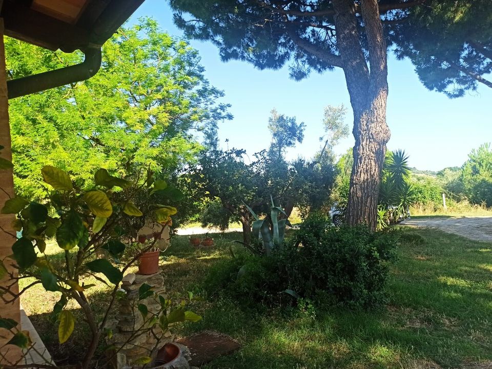 Siedlisko: Montecosaro, Macerata – zdjęcie 3