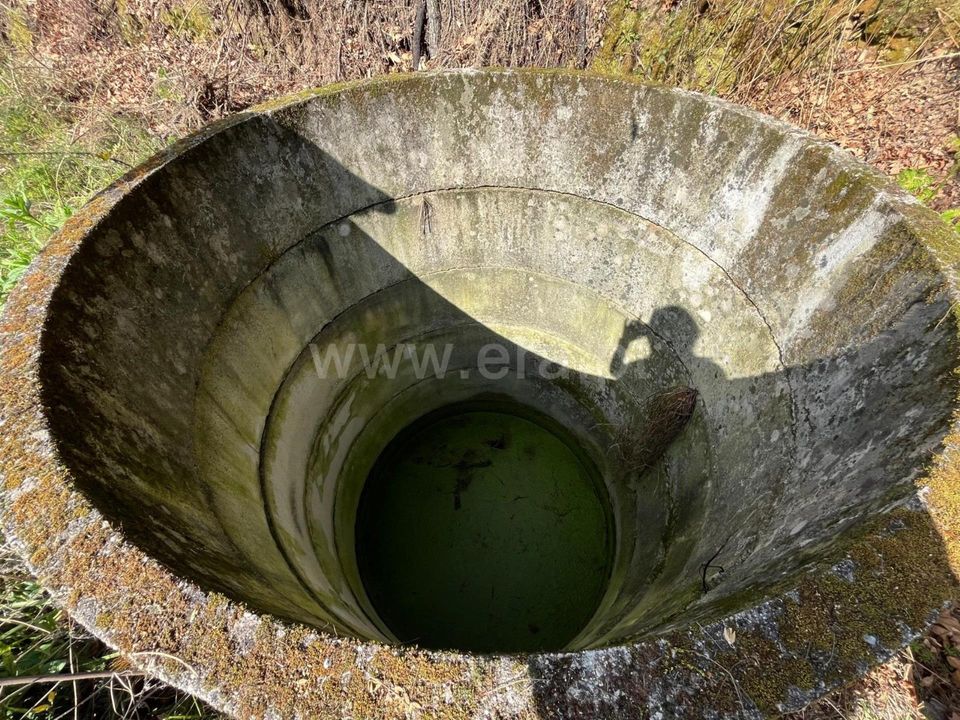 Helårsgrund i Seia, Guarda - foto 4