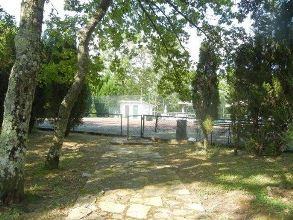 Farm hus i Piegaro, Perugia - foto 5