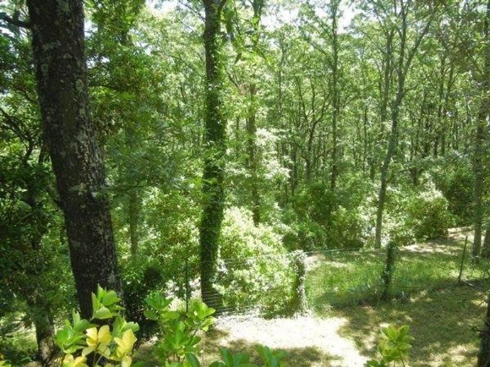 Farm hus i Piegaro, Perugia - foto 3