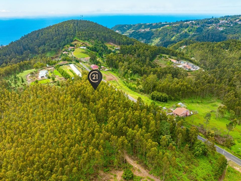 Helårsgrund i Gaula, Madeira - foto 4