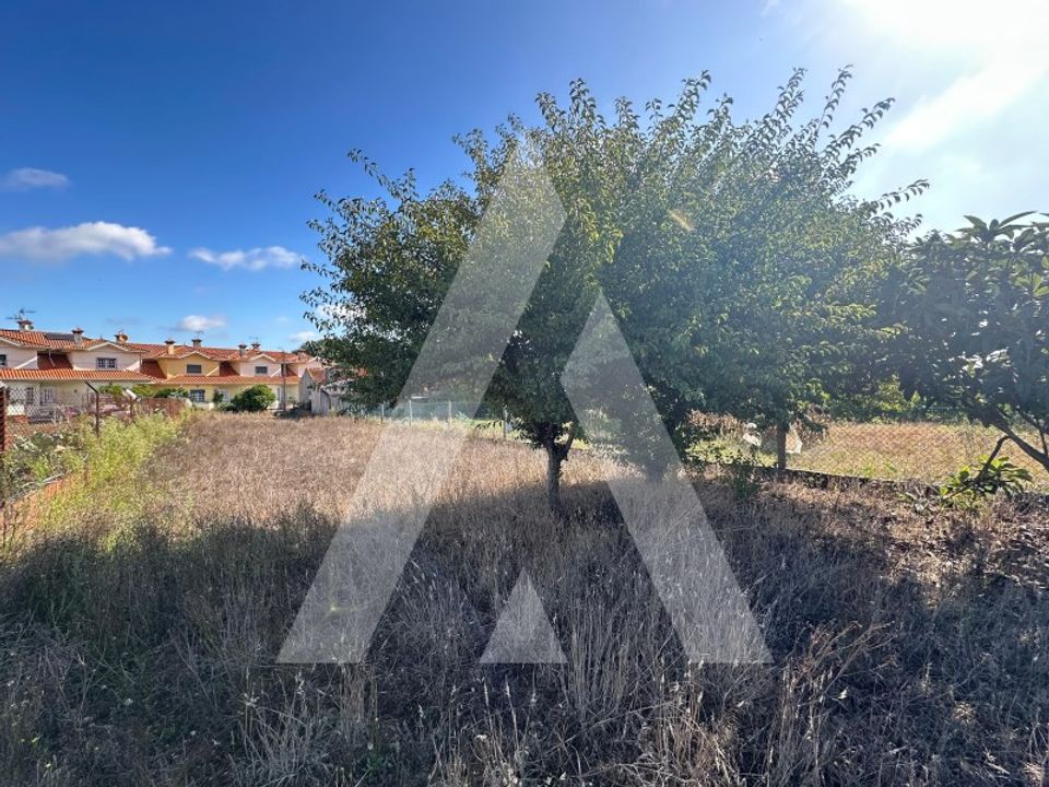 Tomt i Oia, Aveiro - bilde 5