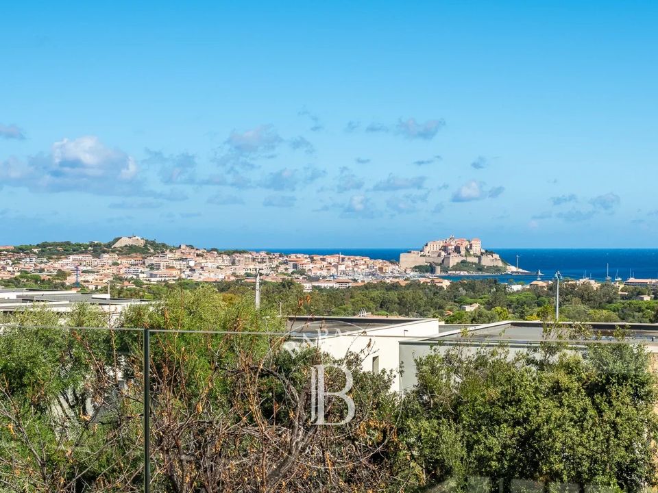 Villa i Calvi, Haute-Corse - foto 1