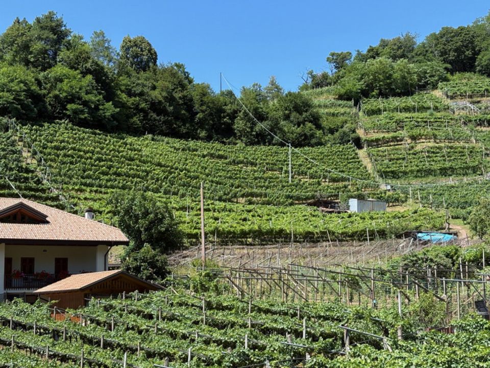Helårsgrund i Segonzano, Trento - foto 2