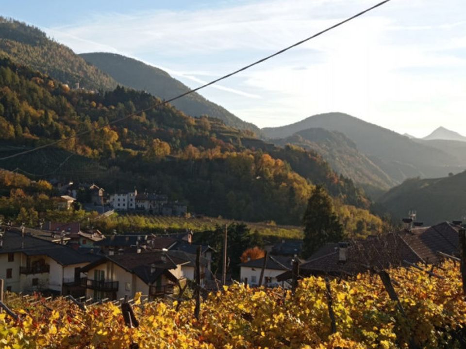 Helårsgrund i Segonzano, Trento - foto 3