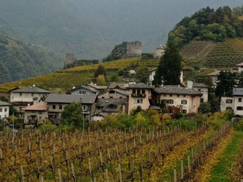 Helårsgrund i Segonzano, Trento - foto 4