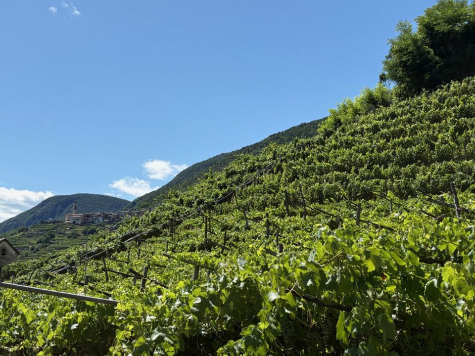 Helårsgrund i Segonzano, Trento - foto 1