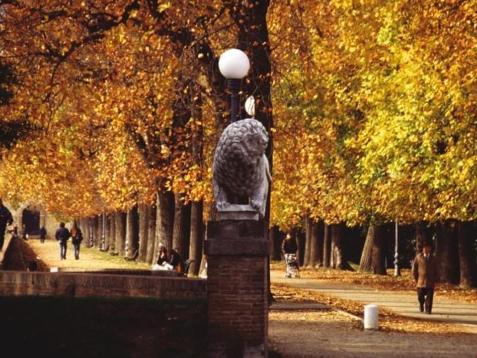 Byhus i Lucca, Lucca - foto 3