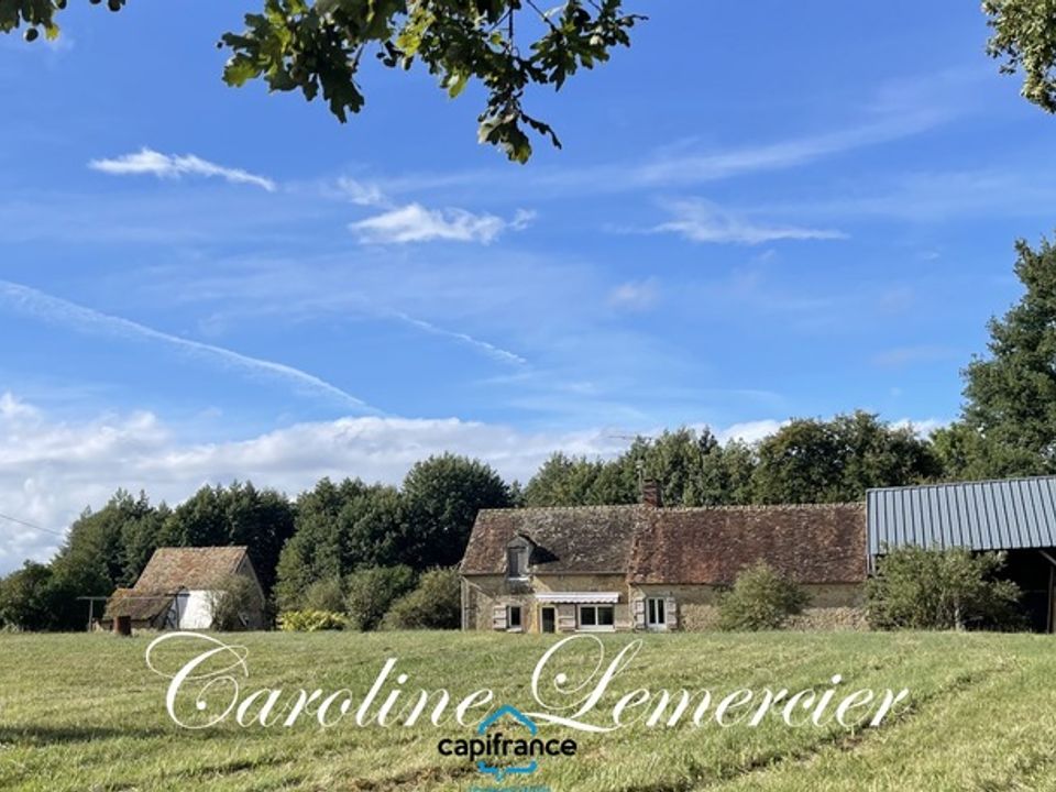 Farm hus i Dollon, Sarthe - foto 1